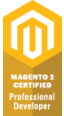 Magento 2 Professional Developer